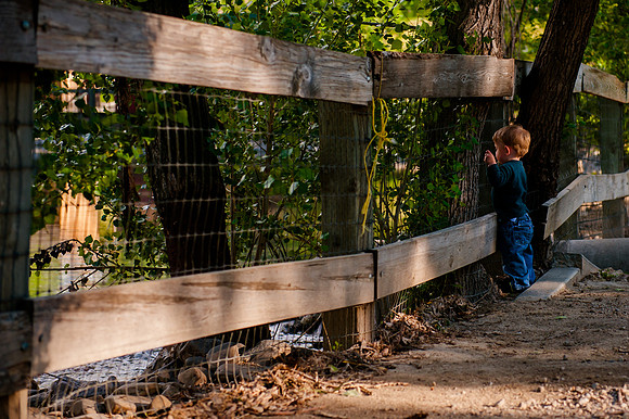 Wheeler Farm-2117
