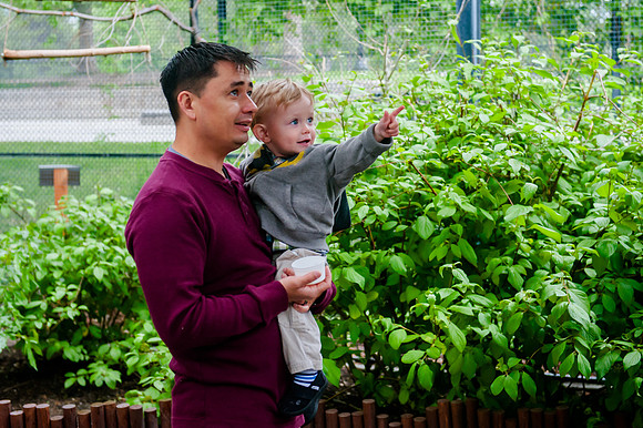 Family Outing at Tracey Aviary-1487