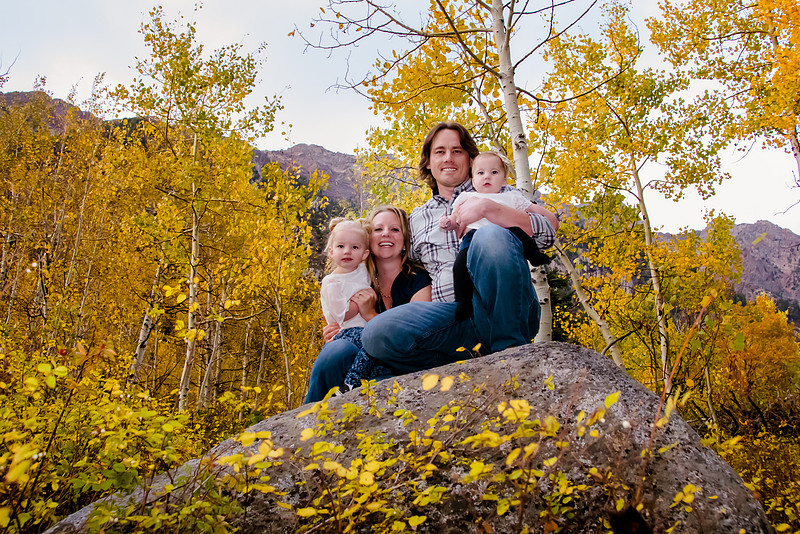 Peterson 2016-2371