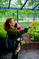 Family Outing at Tracey Aviary-1571