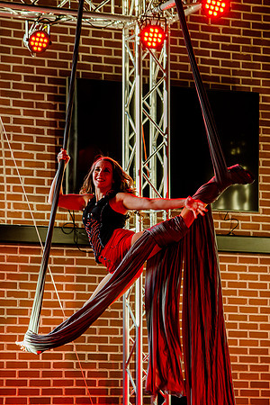 Kiki Cabaret 39503