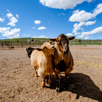 Ching Farm with spring clouds-5971