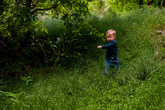 Wheeler Farm-2343