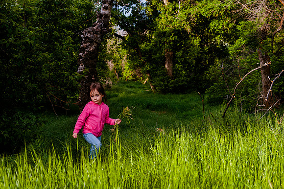 Wheeler Farm-2511