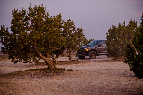Raptor68464