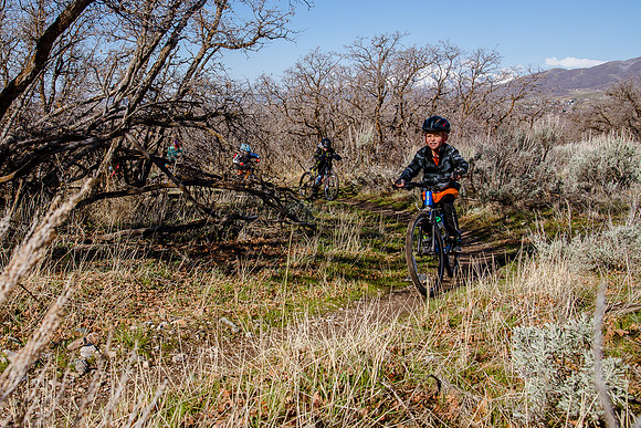 Velo 202138291