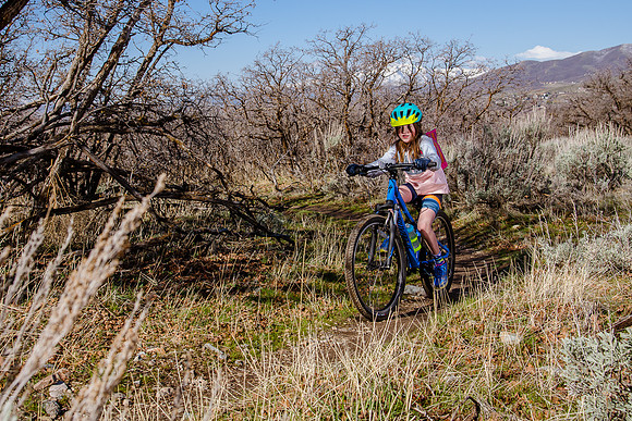 Velo 202138306