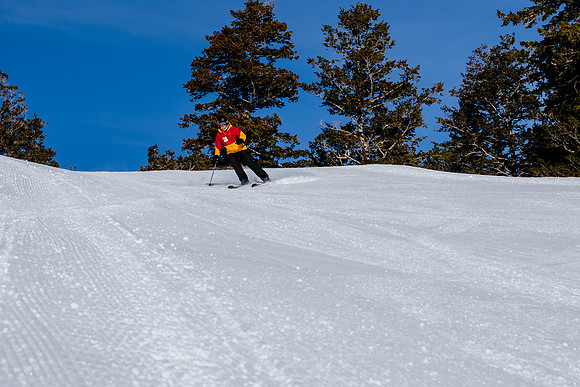 Freeride Snowbasin90645