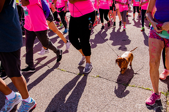 Girls on the Run 2018-6567
