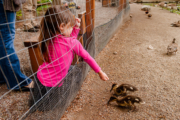 Family Outing at Tracey Aviary-1834